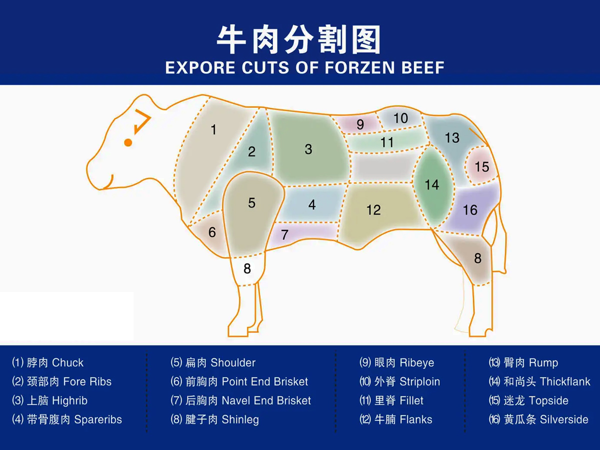 牛肉分割图